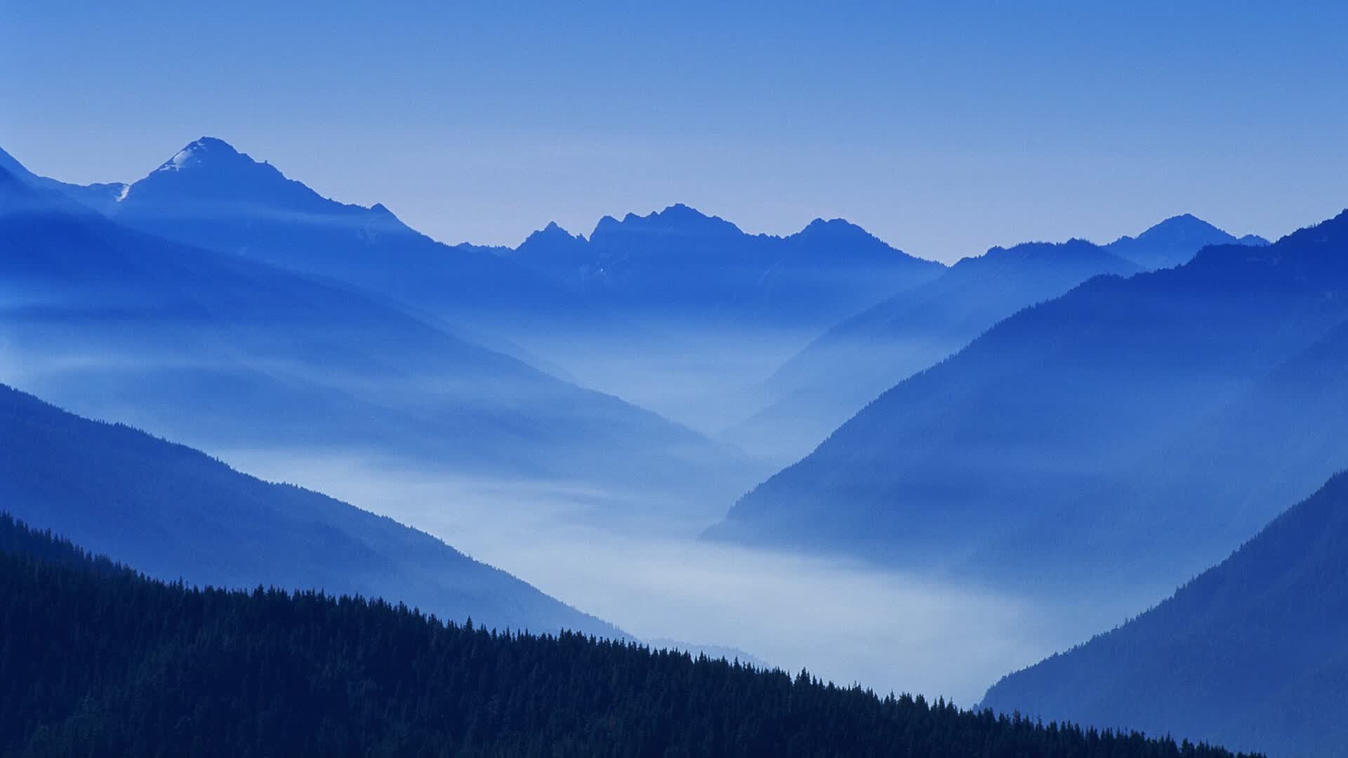 世界举重康复在线课堂季度回顾视频与优秀课堂推介上线，世界举重锦标赛